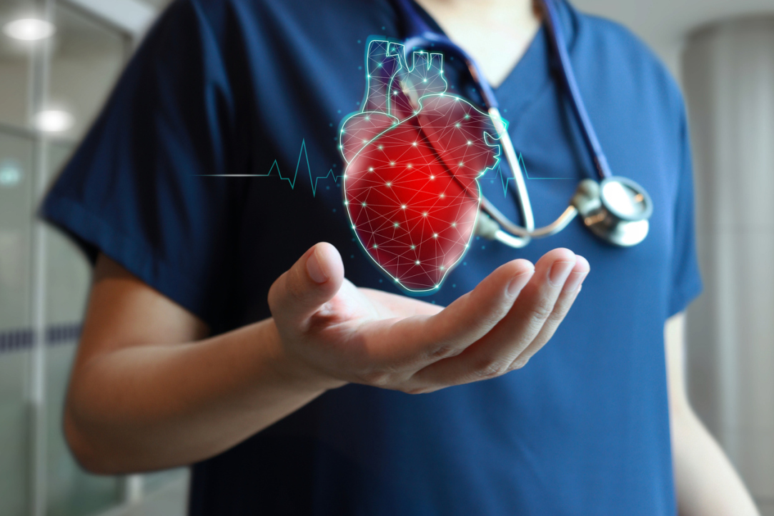 'The Branch of Medicine That Our Developments Primarily Target Is Cardiology'
